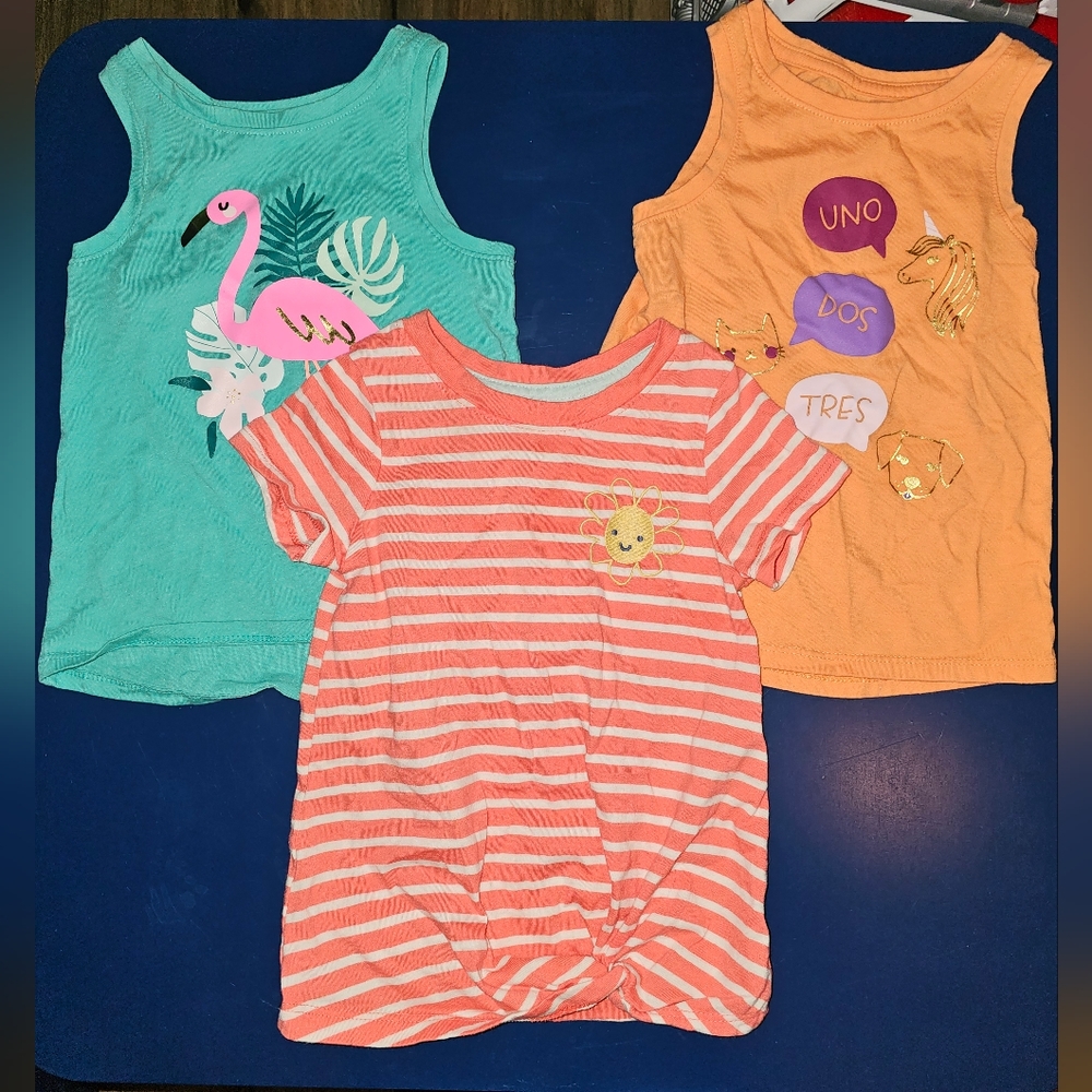 Cat & Jack 2t Bundle